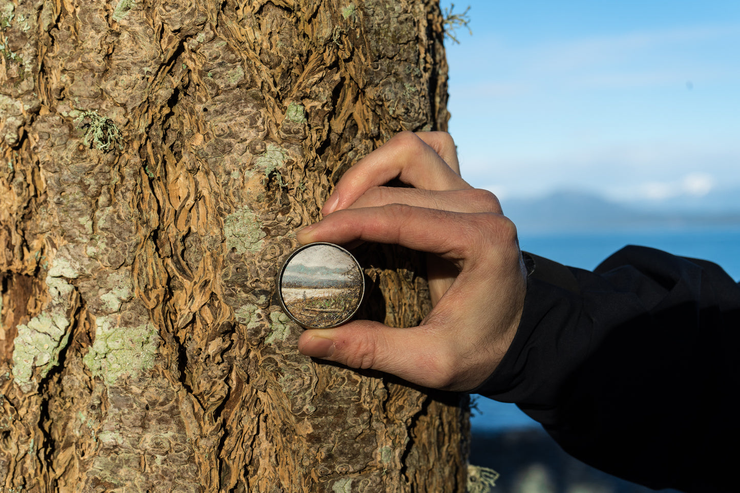 Forest School Beach - Single Flood's Ointment Medicine Tin