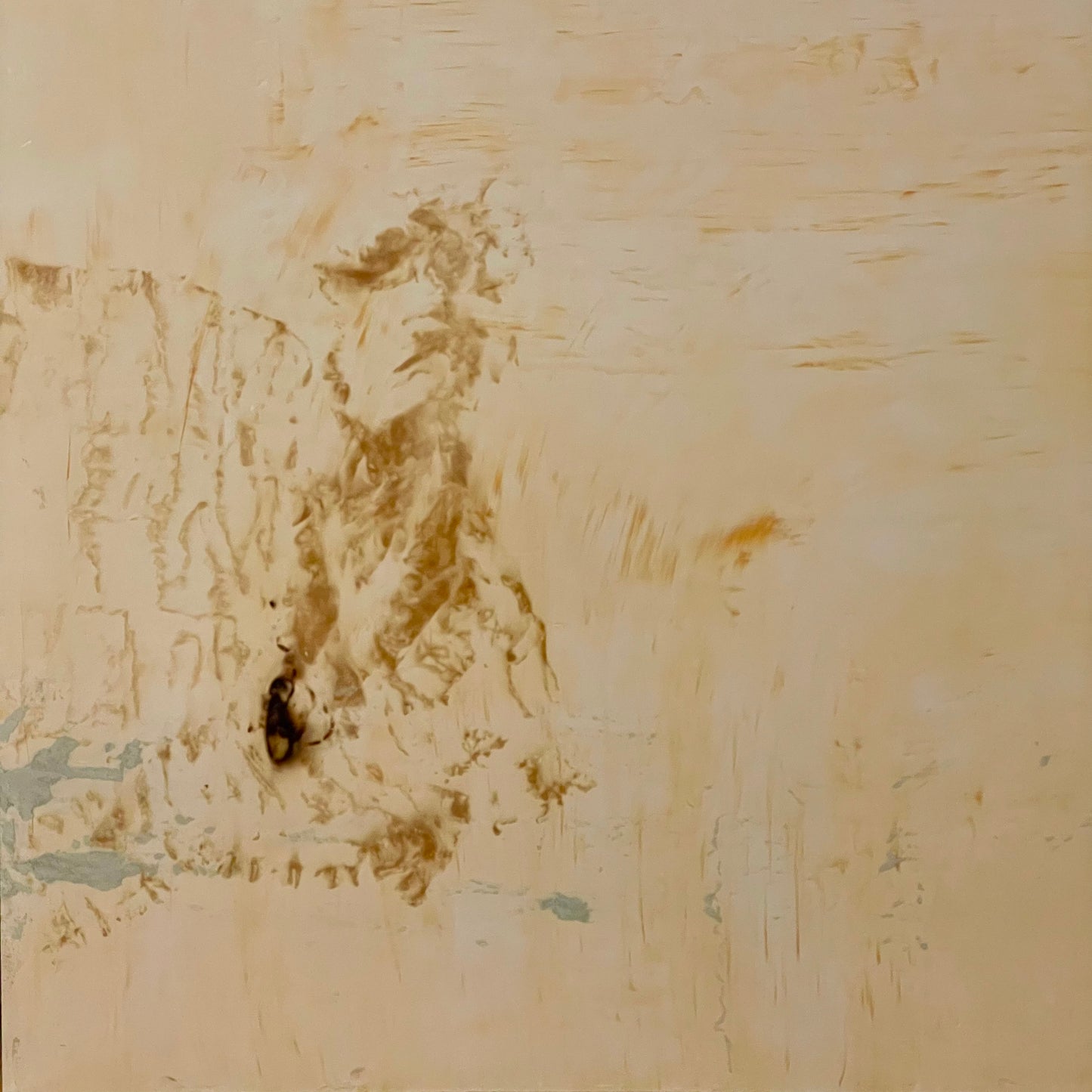 Prescribed Fire Performance, Diptych, 1 of 2 | 48" x 48"